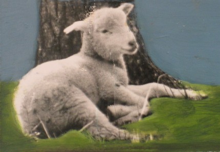 3 Spring Lambie Cards